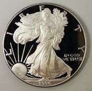 1996-P $1 Silver Eagle PR DCAM