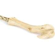 Harry Potter Lord Voldemort's Wand in Ollivander's Box