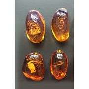 5pcs Insects Fossilized in Amber Collection