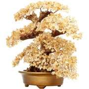 Feng Shui Large Yellow Crystal Quartz Money Tree