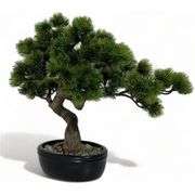 Realistic-Looking Juniper Bonsai Tree