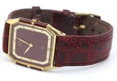Jaz Rectangular brown wooden dial quartz on leather strap watch