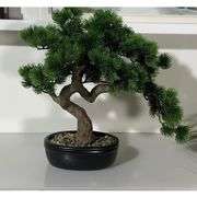 Realistic-Looking Juniper Bonsai Tree