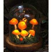 Mushroom Lamp Night Light