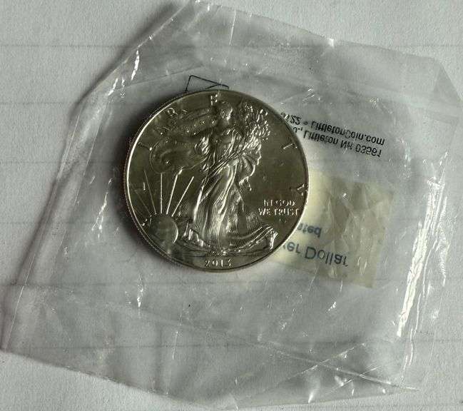 2013 Silver Eagle in Littleton Unc Holder
