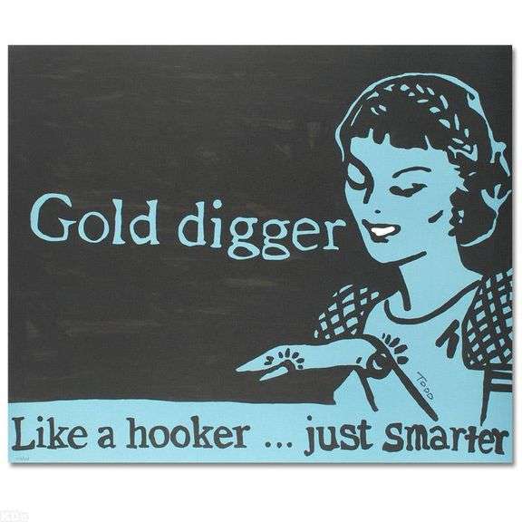 Gold Digger by Goldman, Todd