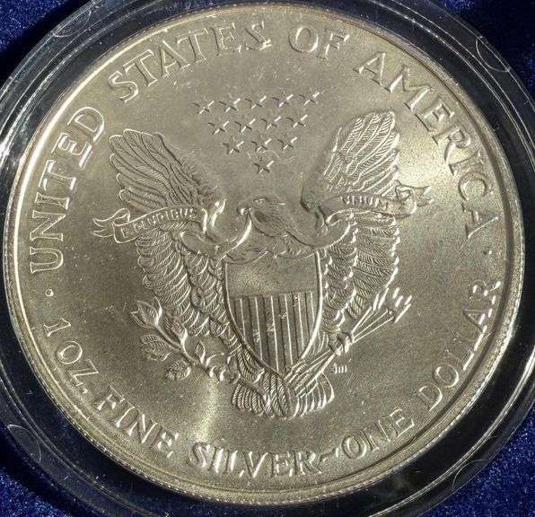 1999 US Enameled Silver Eagle