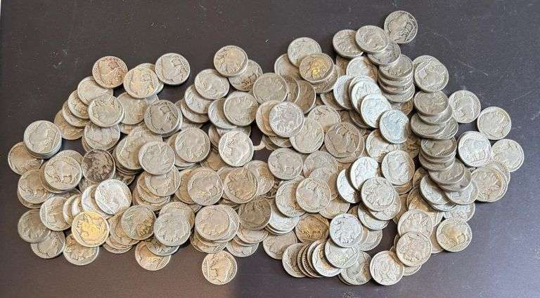 240 Dateless Buffalo Nickels