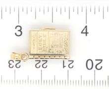 14kt Yellow gold Holly Bible charm pendant
