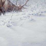 Mountain Majesty by Fanning (1938-2014)