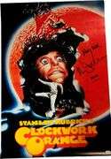 Malcolm McDowell Autographed 22x32 Clockwork Orange Poster Viddy Well Alex ACOA