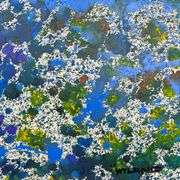 Untitled by Wyland Original