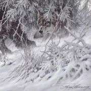 Phantom of the North by Fanning (1938-2014)