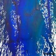 Untitled by Wyland Original