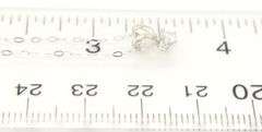 14kt White gold round brilliant cut diamond solitaire pendant on chain