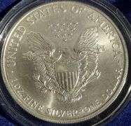 1999 US Enameled Silver Eagle