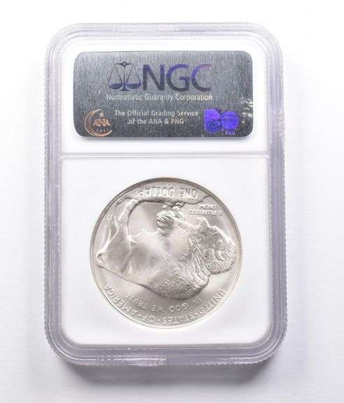 2001-D Buffalo Commemorative Dollar MS70 NGC