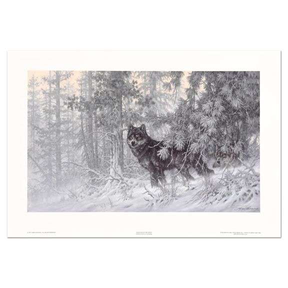 Phantom of the North by Fanning