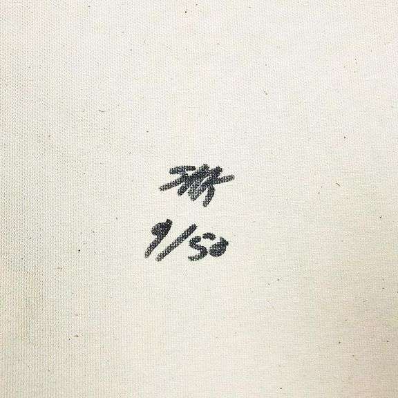 Campbell's Soup Flag by Steve Kaufman