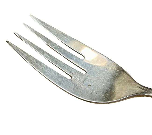 49 Pc Silver Plate Flatware Set From Oneida Community Silverplate Gentle Rose Pattern