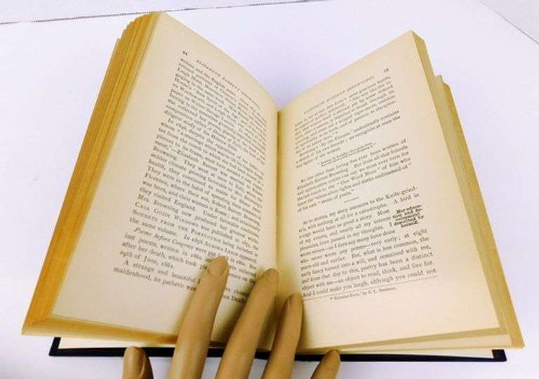 1887 Pen Portraits of Literary Women, 2 Volumes