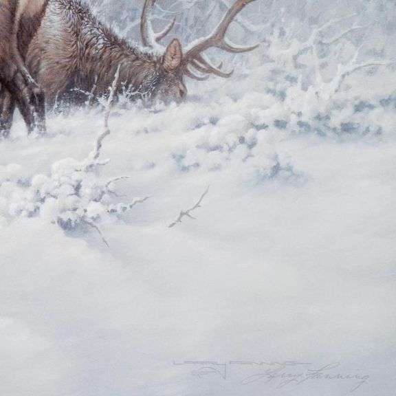 Mountain Majesty by Fanning