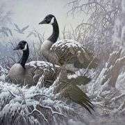 April Snow by Fanning