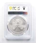 MS69 2001 American Silver Eagle PCGS Smoky Purple Peripheral Toning