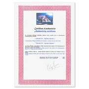 Ayrton Senna by Victor Spahn