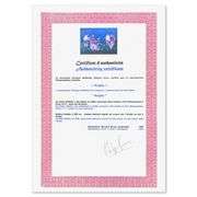 Rugby by Victor Spahn