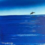 Dolphin by Wyland