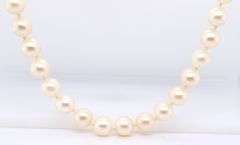 6-6.5mm Akoya pearl necklace
