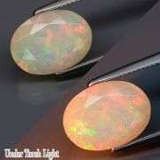 Vibrant 1.96ct Full Cover floral pattern Welo Opal