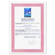 France '98 by Victor Spahn