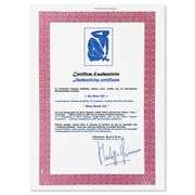 Nu Bleu III by Henri Matisse