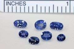 Sparkling Natural Sri Lankan Sapphires - Lot of 7