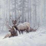 Mountain Majesty by Fanning