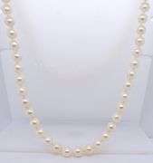 6-6.5mm Akoya pearl necklace