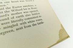 1898 The Beautiful Life of Frances E. Willard