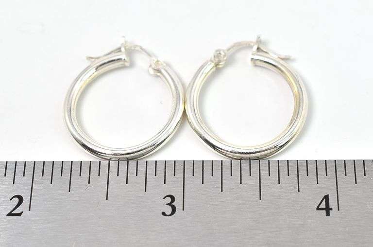 Hoop Earrings in Sterling Silver