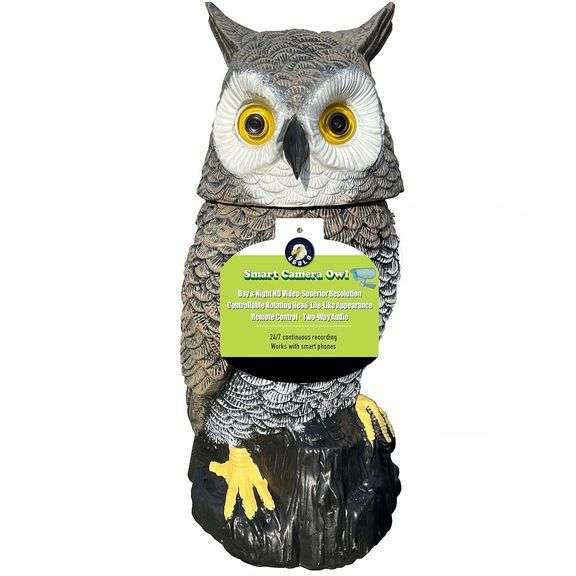 Home Security Hidden Camera Owl