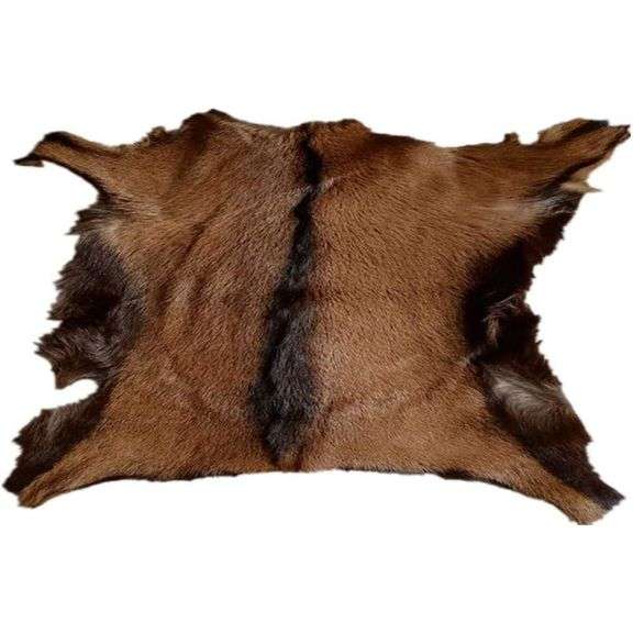 Real Antelope Goat Hide Rug