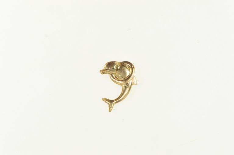 14K Yellow Gold Jumping Dolphin Ocean Single Stud Earring