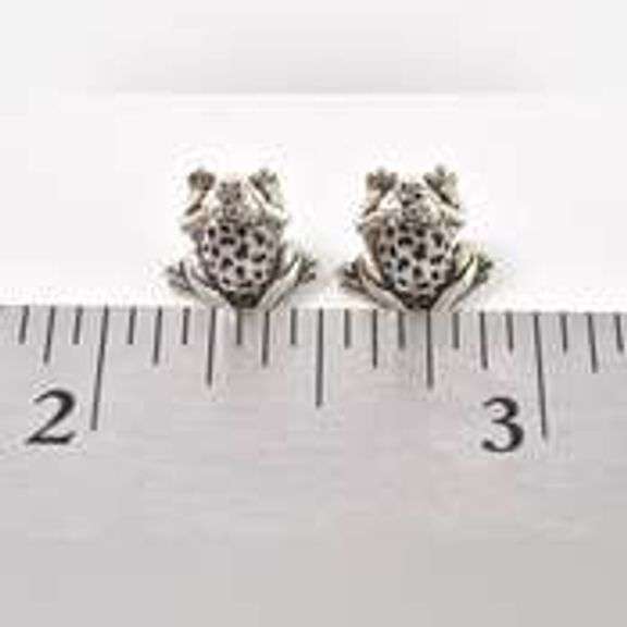 Wild 925 Frog Stud Earrings