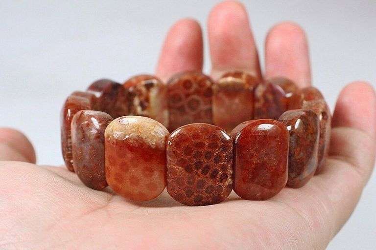 Incredible 284ct Coral Fossil beaded bracelet