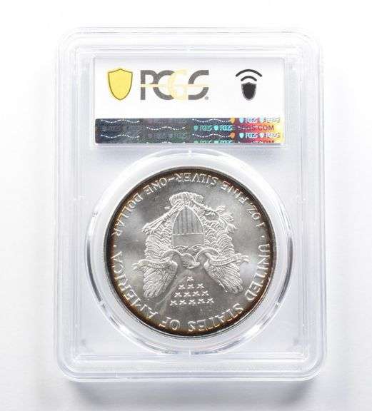 MS66 2001 American Silver Eagle PCGS Peripheral Toning Reverse