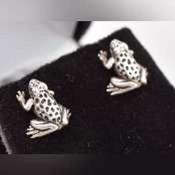 Wild 925 Frog Stud Earrings