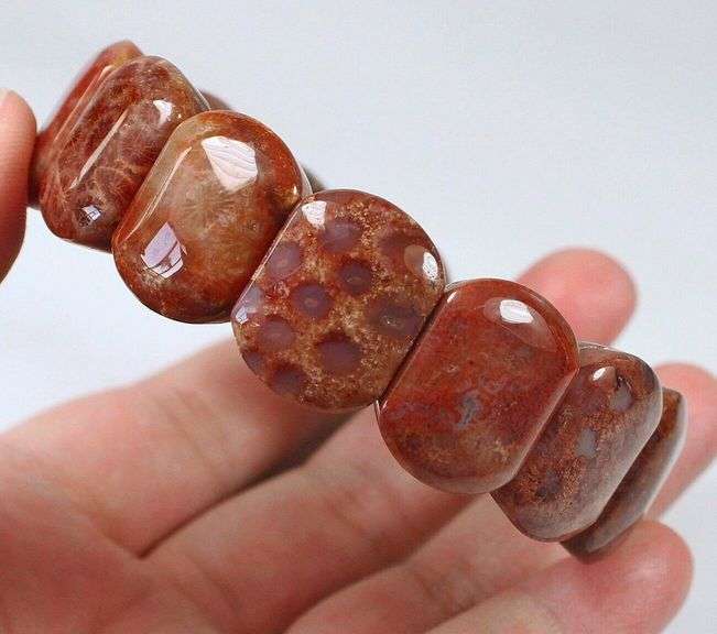 Incredible 284ct Coral Fossil beaded bracelet