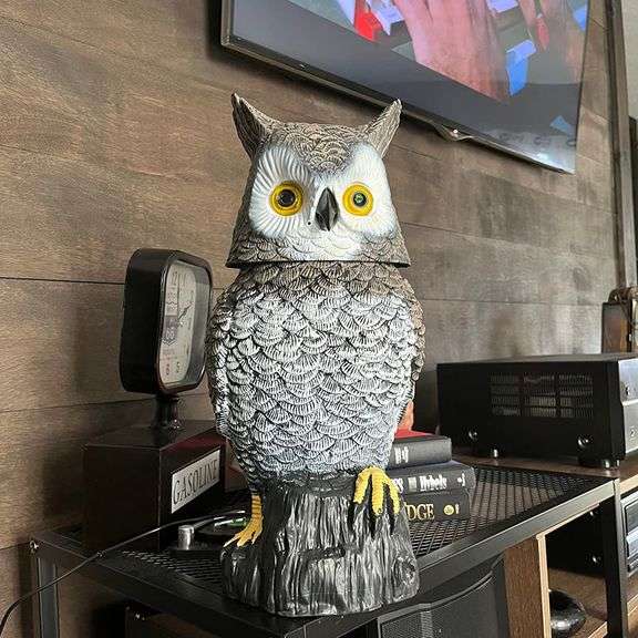 Home Security Hidden Camera Owl