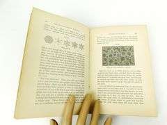 1879 The Fairy-Land of Science Antique Book